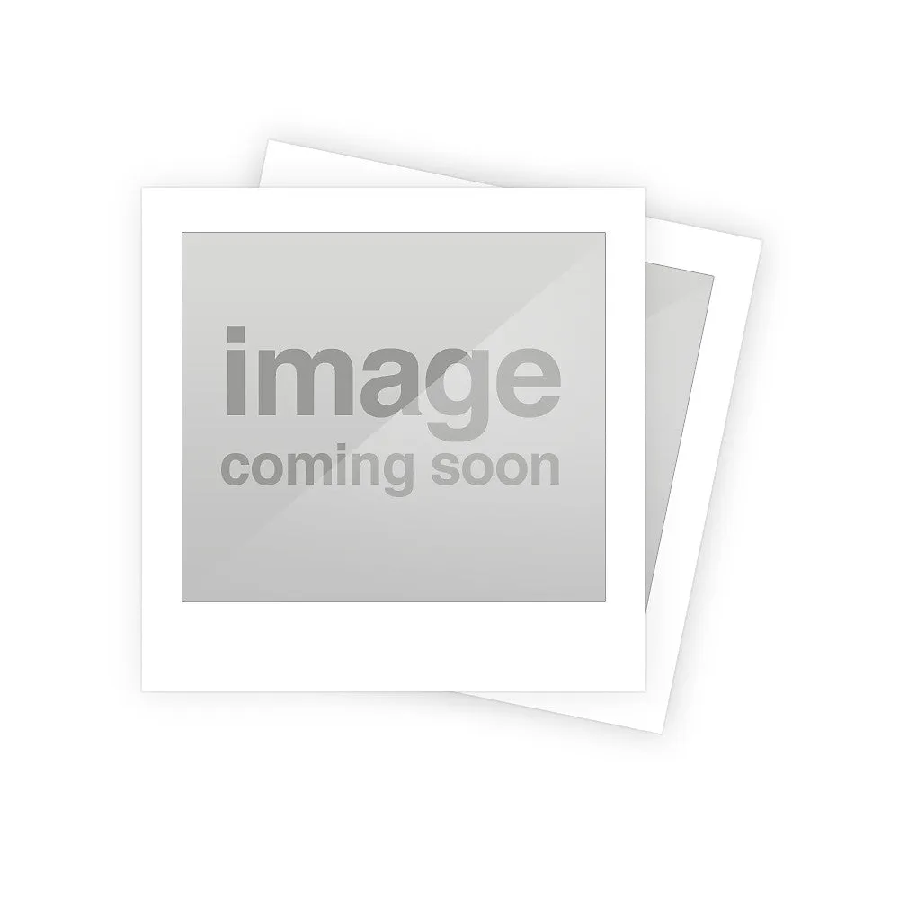 COMPLETE AIR REGULATOR FOR SG PPX1 10L PAINT POT