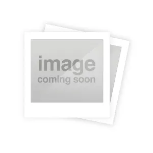 COMPLETE AIR REGULATOR FOR SG PPX1 10L PAINT POT
