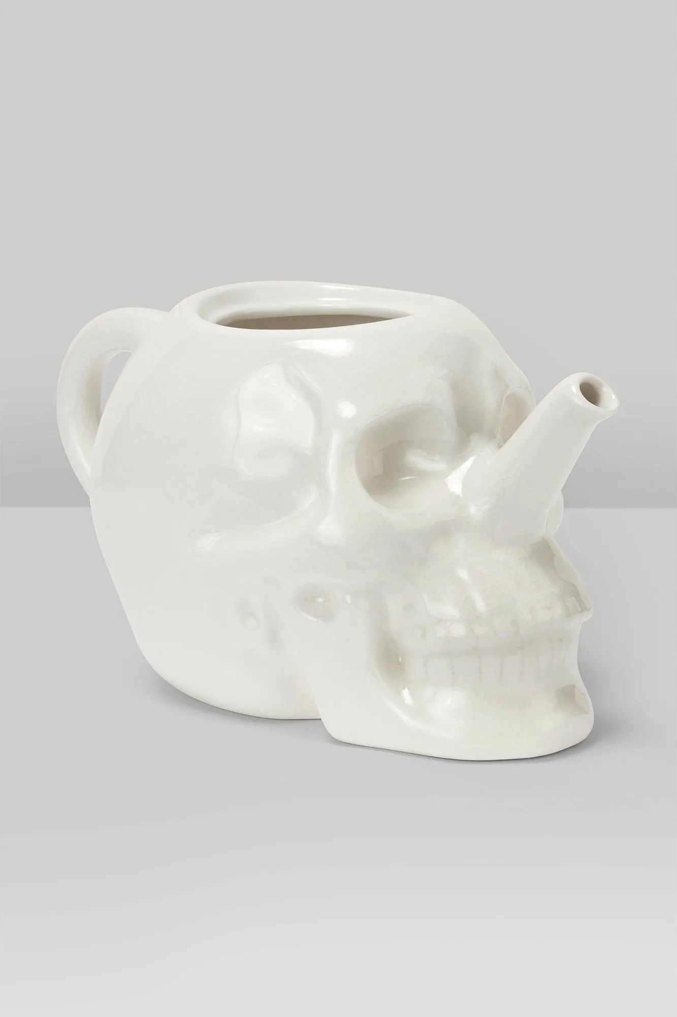 Cranium Plant Pot