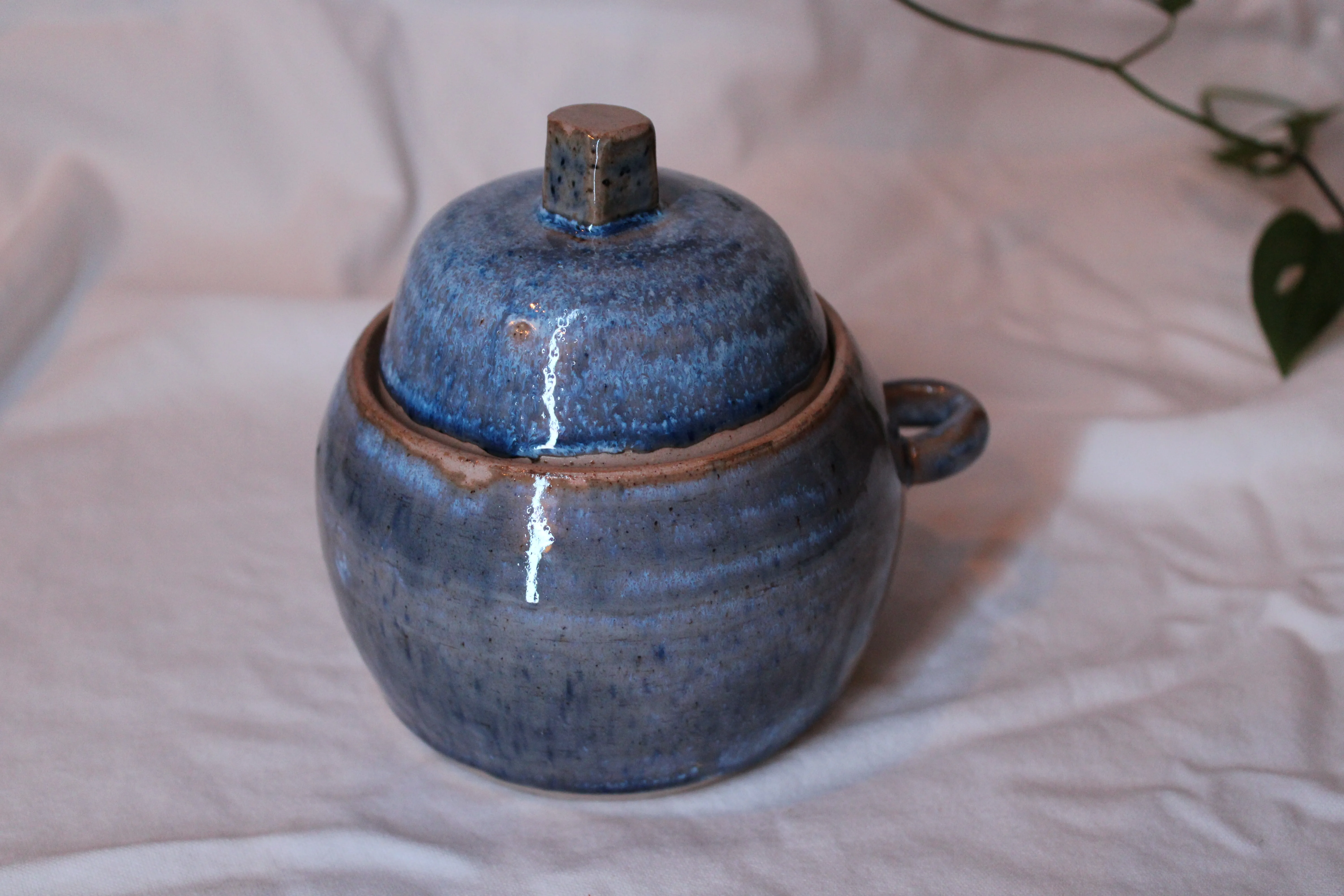 Honey Pot