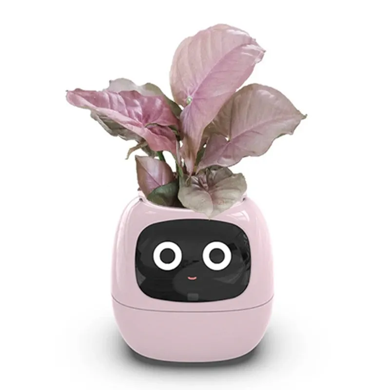 Pet Planter,USB Rechargeable Indoor Small Flower Pot For Indoor Decoration Make Raising Plant Easy And Fun